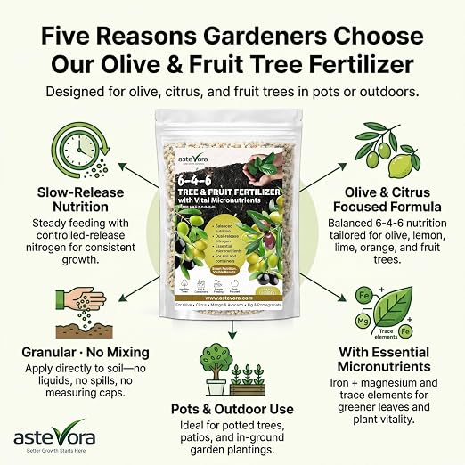 Olive Tree Fertilizer – Fruit Tree Fertilizer for Olive Tree, Citrus, Lemon, Lime, Fig, Avocado, Mango, Apple & Pomegranate – for Potted & Outdoor Trees (20 quarts - 40 lbs.)