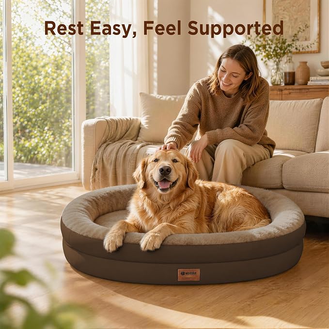 Orthopedic Dog Bed for Medium Dogs, Waterproof Dog Bed with Removable Bolsters, Egg Crate Foam Pet Couch for Medium Size Dog with Machine Washable Cover & Non-Slip Bottom, Coffee