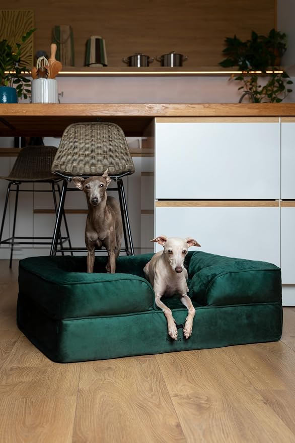 NOAH & PAW Large Dog Bed, 35x25x11 Inch, Orthopedic Dog Beds, Eggshell Memory Foam Infused with Cooling Gel, Inner Cover, Water Resistant, Machine Washable (Velvet Sofa Collection)