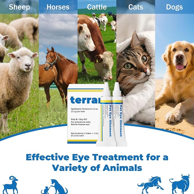 Pet Eye Care Cream for Cats, Dogs, Horses & Birds | Helps Clean Around Eyes, Supports Comfort & Moisture | Double Pack (2 x 3.5 g)