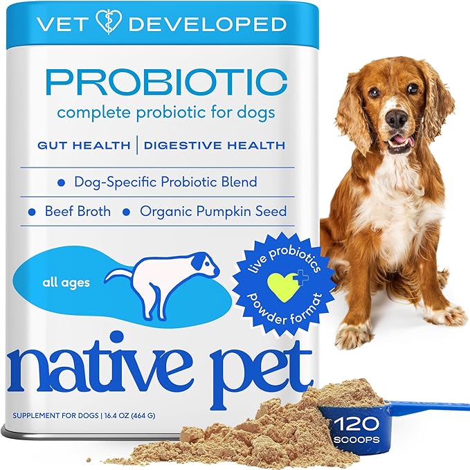 Native Pet Probiotics for Dogs – Dog Probiotic Powder for Gut & Digestive Health, Vet-Formulated 6B CFUs Dog-Specific Probiotic Strains, Supports Stool Quality & Diet Transitions – 120 Scoops