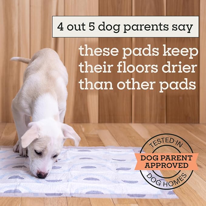 Pet Life Unlimited Smart Prints Large Puppy Pads for Dogs, Potty Training Pee Pads, 84 Count, 22" x 22", Leak-Proof, Super Absorbent, Quick-Dry, Patterned Pads with Odor Control, Made in USA