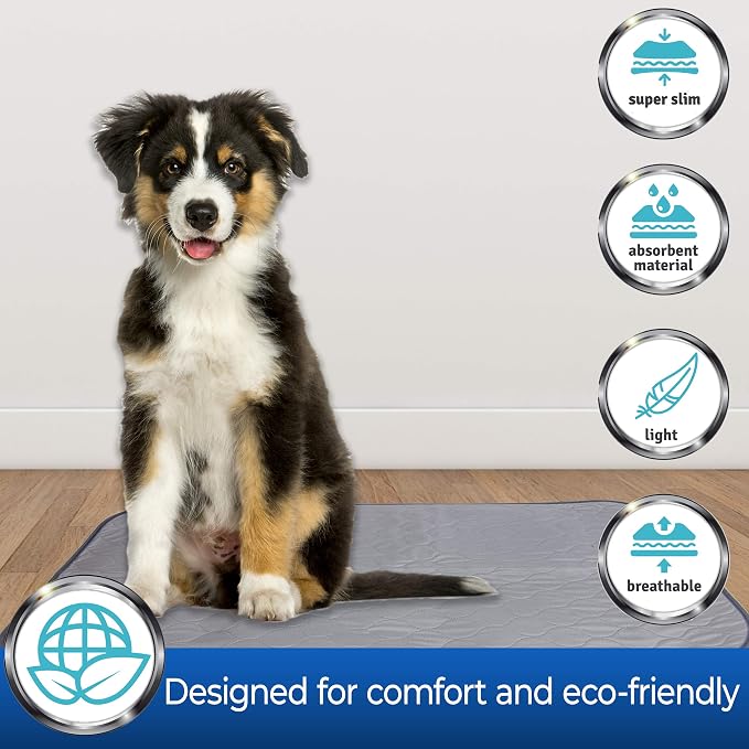 Pet Magasin Highly Absorbent Reusable Washable Pet Pads for Crate or Training with Waterproof Bottom (Pack of 3) (Pack of 3) (Grey, 39x26 Inch)