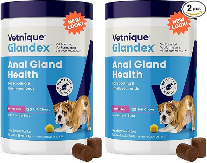 Vetnique Glandex Anal Gland Soft Chew Treats with Pumpkin for Dogs Digestive Enzymes, Probiotics Fiber Supplement for Dogs Boot The Scoot (Bacon Flavor Chews, 120 Count) (Pack of 2)