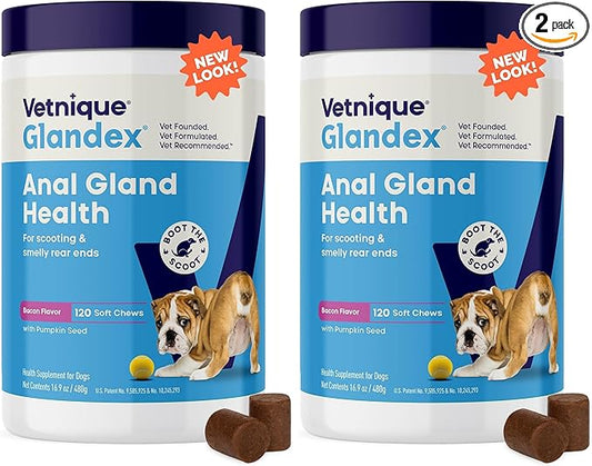 Vetnique Glandex Anal Gland Soft Chew Treats with Pumpkin for Dogs Digestive Enzymes, Probiotics Fiber Supplement for Dogs Boot The Scoot (Bacon Flavor Chews, 120 Count) (Pack of 2)