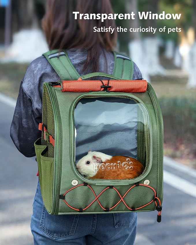 Pecute Small Pet Carrier, Breathable Bearded Dragon Carrier, with Transparent Bubble & Steel Frame, Safety Lock for Hamster, Rabbit, Guinea Pig, Kitten, Puppy, Ideal for Travel/Vet Visits/Camp, Green