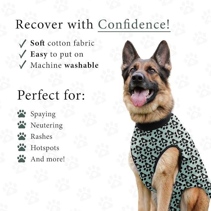 BellyGuard Dog Surgery Recovery Suit, Post-Op Dog Recovery Suit for Female Spay & Male Neuter, Comfy Onesie for Pets, Surgical Body Cover for Canine Healing Support