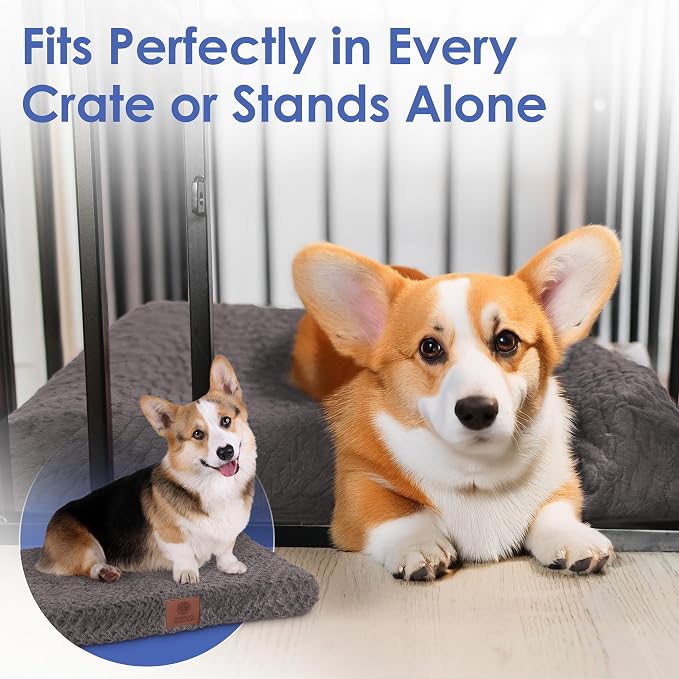 American Kennel Club Orthopedic Memory Foam Dog Crate Mat, Egg Crate Foam Cushion, Washable Cover, Non-Slip Base, Eases Joint Pain, Breathable, Durable, 24x19, Gray