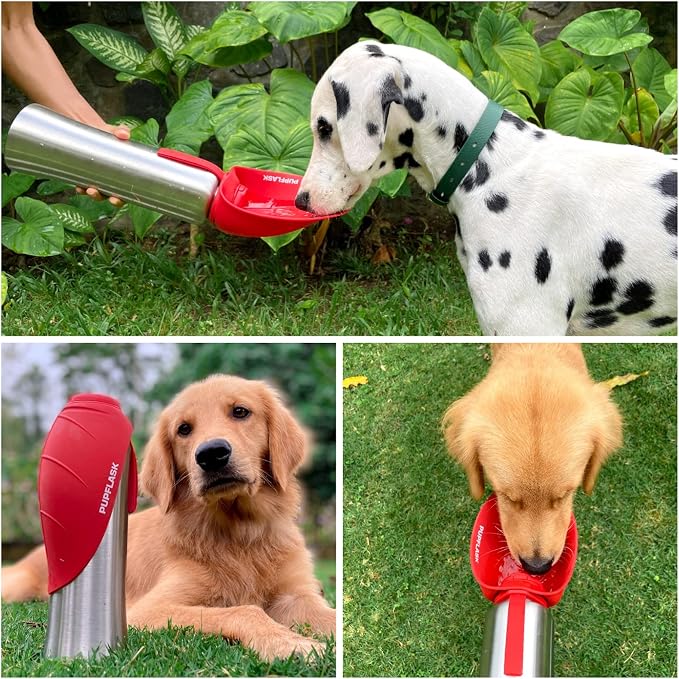XXL Collapsible Dog Bowl (100oz / 12 Cups) and 40oz Pupflask Portable Water Bottle - Red