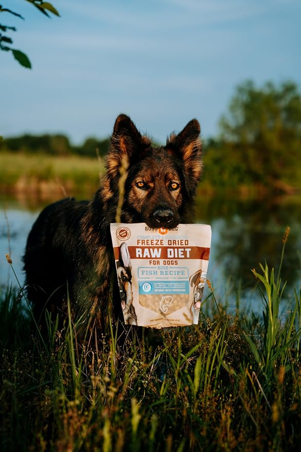 Boss Dog Complete & Balanced Freeze Dried Raw Diet for Dogs, Fish Recipe, 12 oz Bag (Bag of 2)