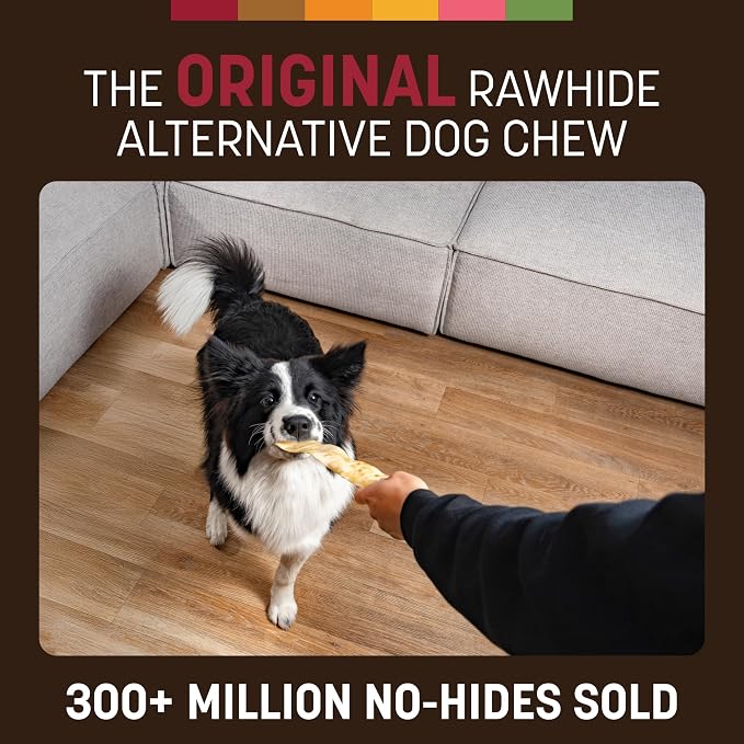 Earth Animal No Hide Strips - Natural Rawhide Free Dog Chew Strips, Beef - 16 Count