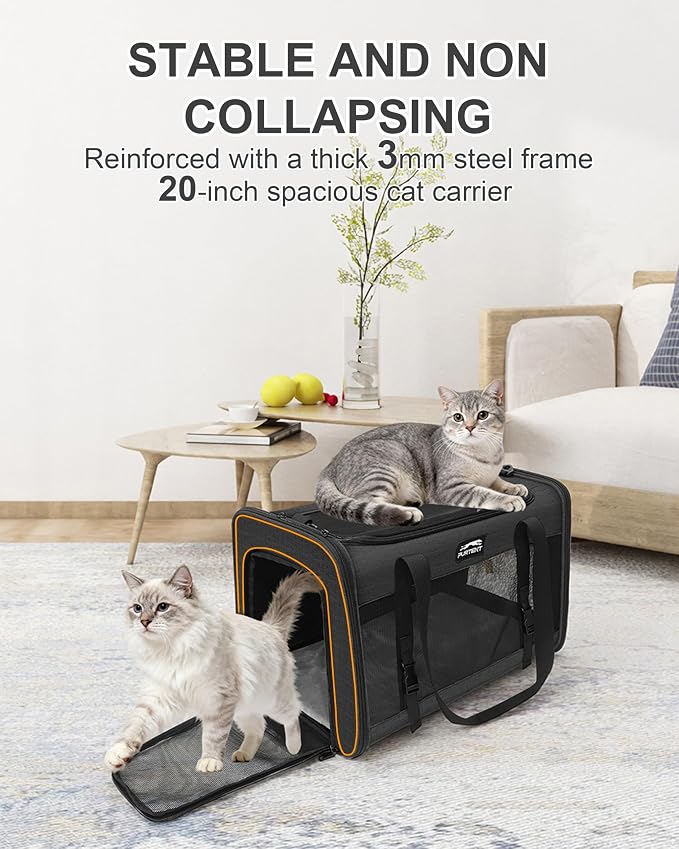 Soft-Sided Large Cat Carrier for 2 Cats, Spacious Foldable Pet Travel Carrier for Large Cats up to 25 Lbs, Double Cat Bag with Shoulder Strap, 20x13x13 Inch, Fits Maine Coon and Small Dogs, Black