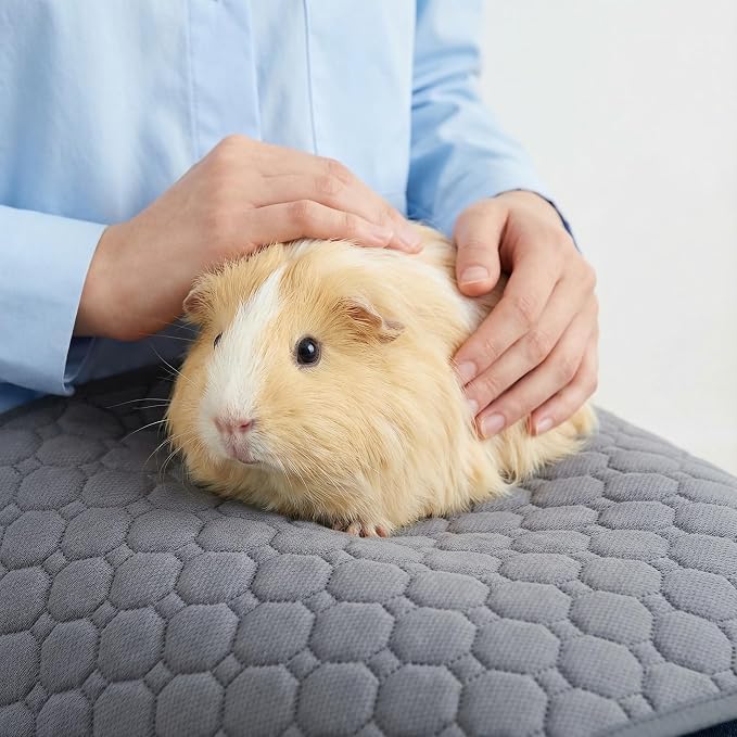 Guinea Pig Bedding, 49x24in 2 Pack Washable Guinea Pig Cage Liners, Waterproof Reusable & Anti Slip, Super Absorbent Guinea Pig Pee Pad for Midwest Cage, Small Animal, Rabbit, Bunny, Green