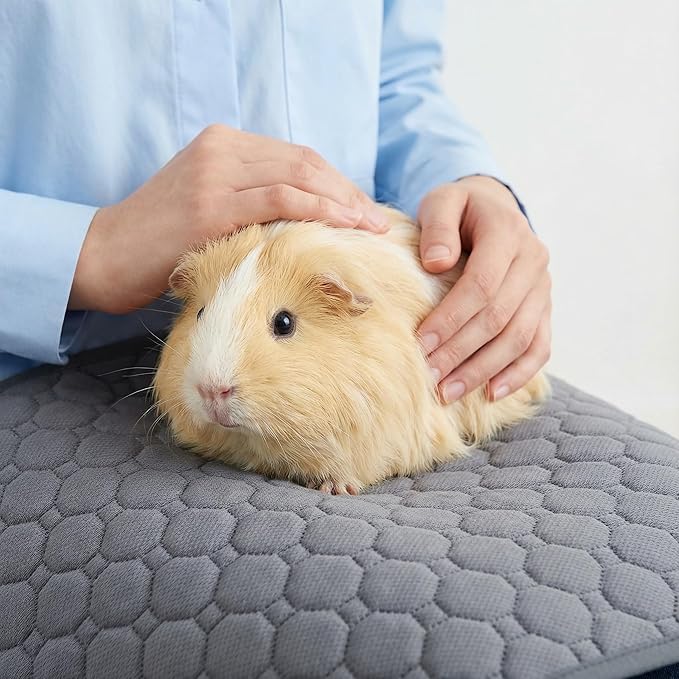 Guinea Pig Cage Liners, 59x31in 2 Pack Washable Guinea Pig Bedding, Waterproof Reusable & Anti Slip, Super Absorbent Guinea Pig Pee Pad for Small Animal, Rabbit, Bunny, Fit for C&C Cage, Green