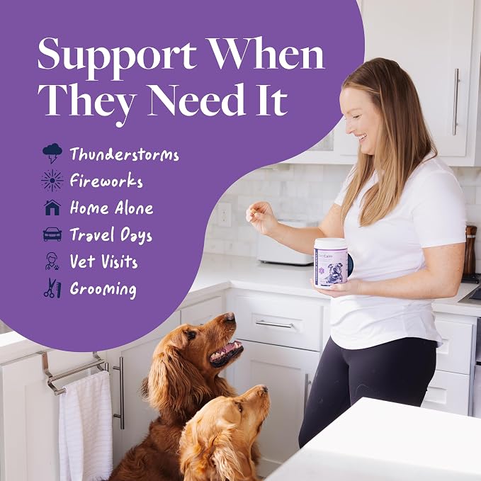 Veterinary Formula Pet Calm 60ct – Vet-Formulated Calming Chews for Dogs with L-Theanine, L-Tryptophan for Behavior Support, Relaxation Treats, Puppy Chews for Stressful Situations, Dog Calming Aid