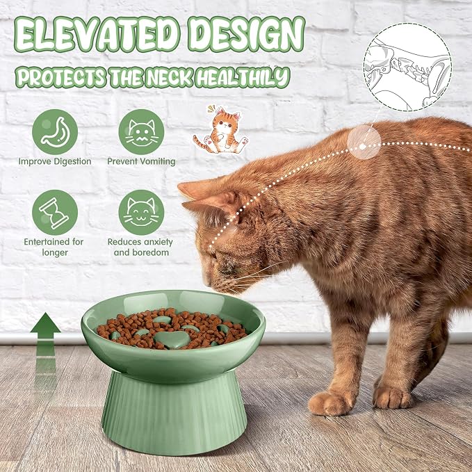 Tioncy 1 Pcs Raised Cat Slow Feeder Bowl Ceramic Elevated Cat Dog Food Bowl No Spill High Edge for Dry Wet Food and Water Easy to Clean, Dishwasher Safe (Sage Green)