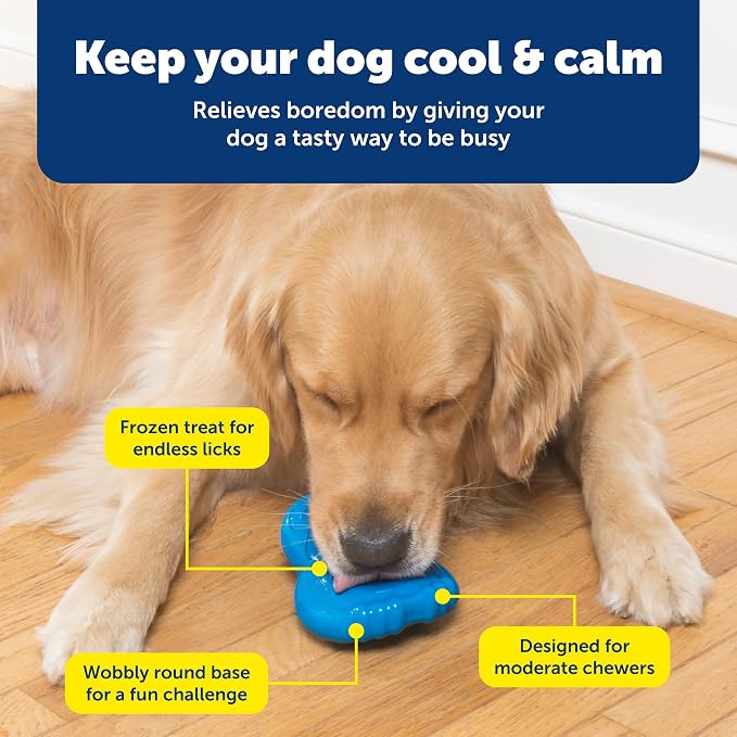 PetSafe Chilly Penguin - Freezable Dog Toy for Medium and Large Dogs - Fill and Freeze - Frozen Dog Toy to Fill with Treats - Interactive Pet Puzzle for Boredom or Separation Anxiety, ML (Pack of 2)