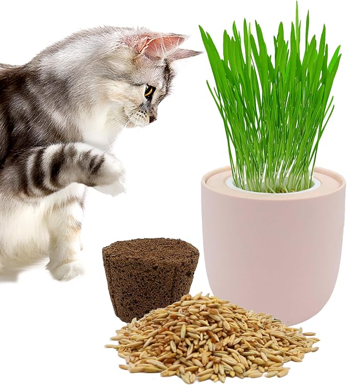 Ceramic Pot Cat Grass for Indoor Cats with Organic Cat Grass Seed Mix – Safe Pet Grass for Cats and Small Pets | Easy-to-Grow Indoor Garden for Pet Digestion (Pink)