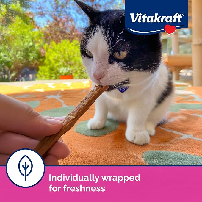 Vitakraft PurrSticks for Cats - Nutritious & Healthy Soft Cat Treats - Gently Oven Roasted Meat Sticks for Cats w/ 70% Meat - Easy-to-Serve Cat Chew Sticks (Salmon, 60 Pack)