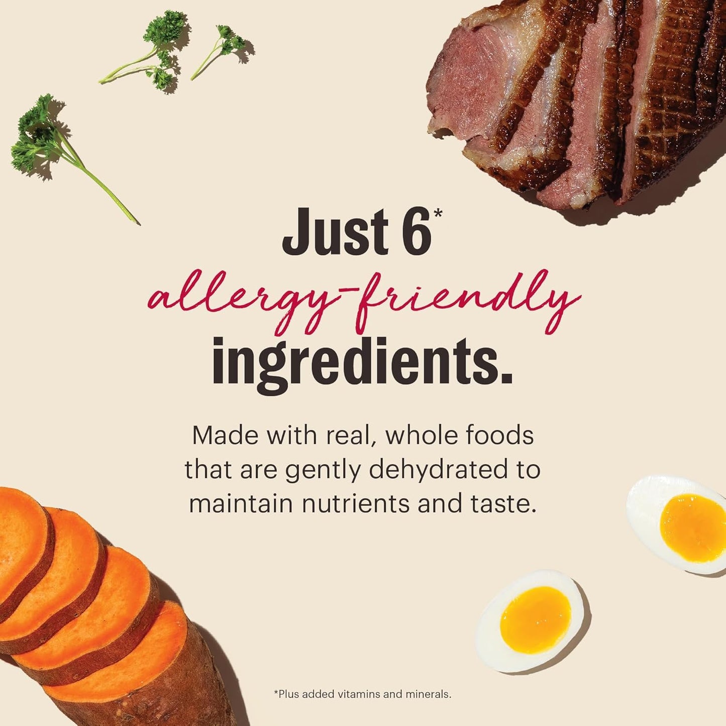 The Honest Kitchen Dehydrated Limited Ingredient Duck Dog Food, 4 lb Box