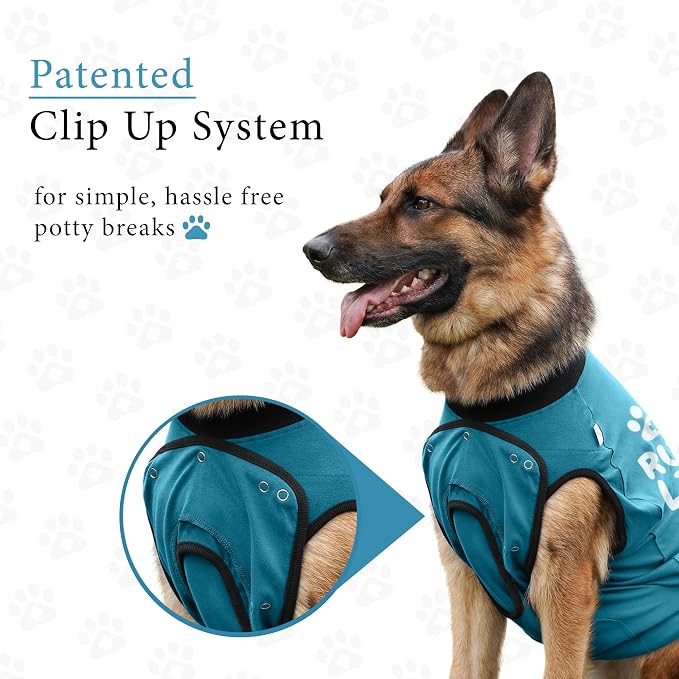 BellyGuard Dog Surgery Recovery Suit, Post-Op Dog Recovery Suit for Female Spay & Male Neuter, Comfy Onesie for Pets, Surgical Body Cover for Canine Healing Support