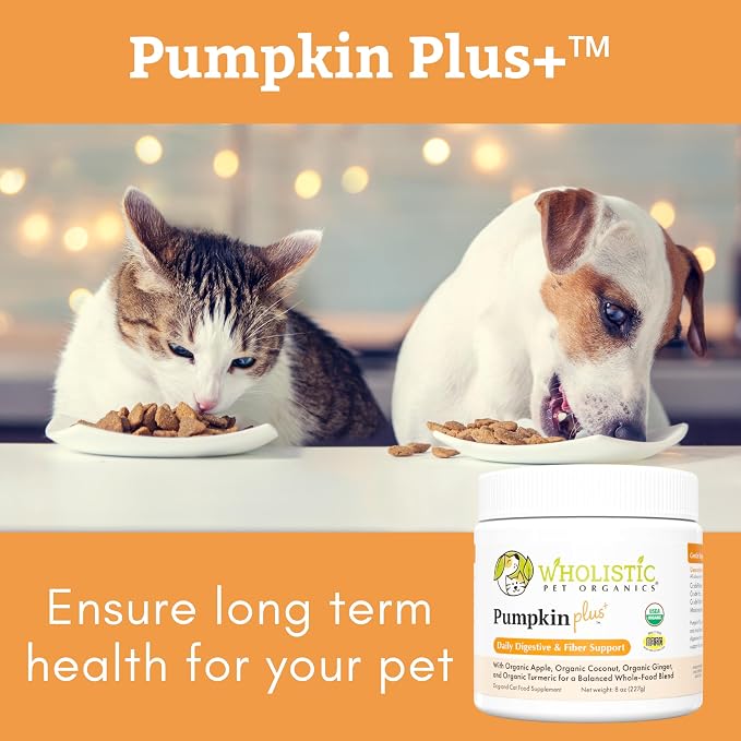 Wholistic Pet Organics Pumpkin Powder for Cats & Dogs - Fiber Supplement Helps with Digestion, Nutrient Absorption, Diarrhea, Constipation - Organic Pumpkin for Dogs & Cats - Puree Food Topper - 8 oz