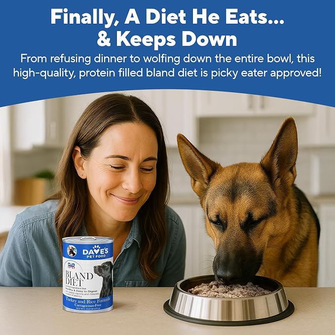 Dave's Pet Food Bland Diet Dog Food (Turkey & Rice), Sensitive Stomach, Easy to Digest Pate, Gluten-Free, Digestive Care, Low Fat (5%) Limited Ingredients, Complete & Balanced, 13.2 oz (Case of 12)
