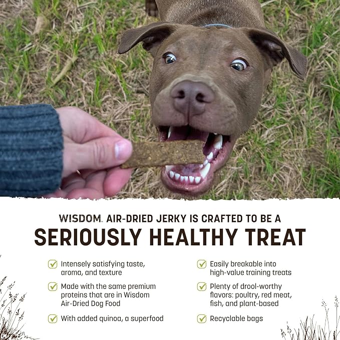 Earth Animal Wisdom Air Dried Jerky - from the Seed Recipe Premium Natural Plant Based Jerky Strips Dog Treats - 4 oz Bag