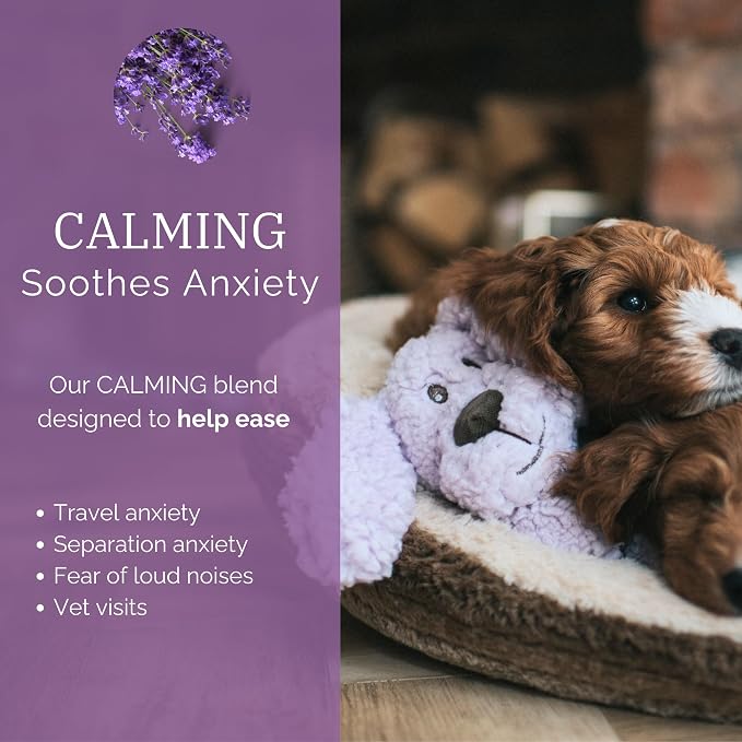 Rosewood Calm Fleece Flattie Dog Toy, with Calming Lavender Blend Essential Oils