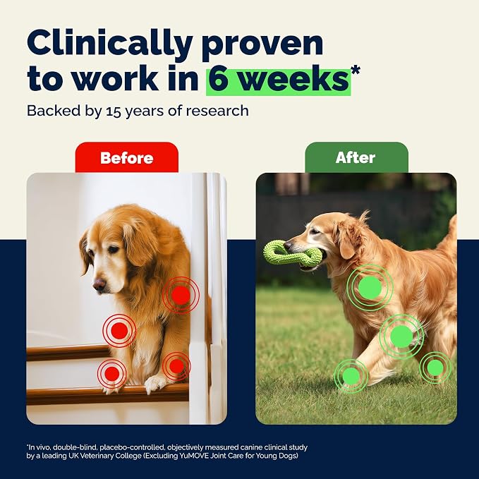 YuMOVE Advanced Vet Strength Hip & Joint Supplement for Dogs - ActivEase Green Lipped Mussel, Glucosamine, Hyaluronic Acid & Omega 3 for Serious Mobility Support (45ct Chews, Advanced Strength)