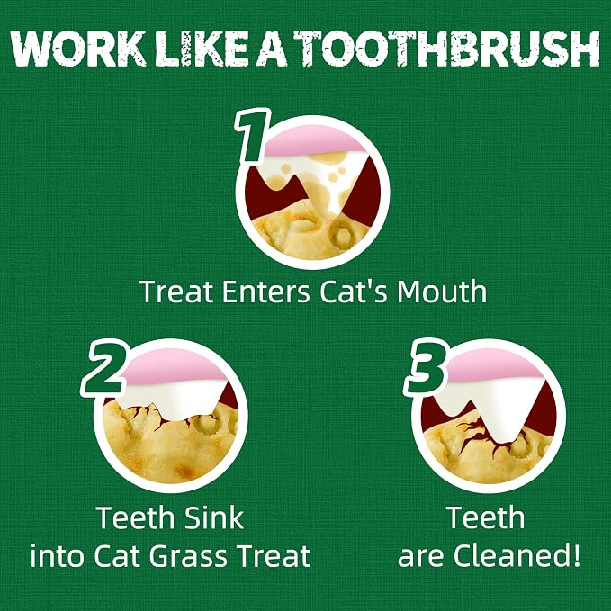 Just Try 36 OZ Cat Grass Treats Salmon Oil Natural Salmon Kitten Healthy Cat Treats Training Biscuits Snacks Fish Oil Omega 3 Supplements for Cats Joint Support & Skin Coat Health