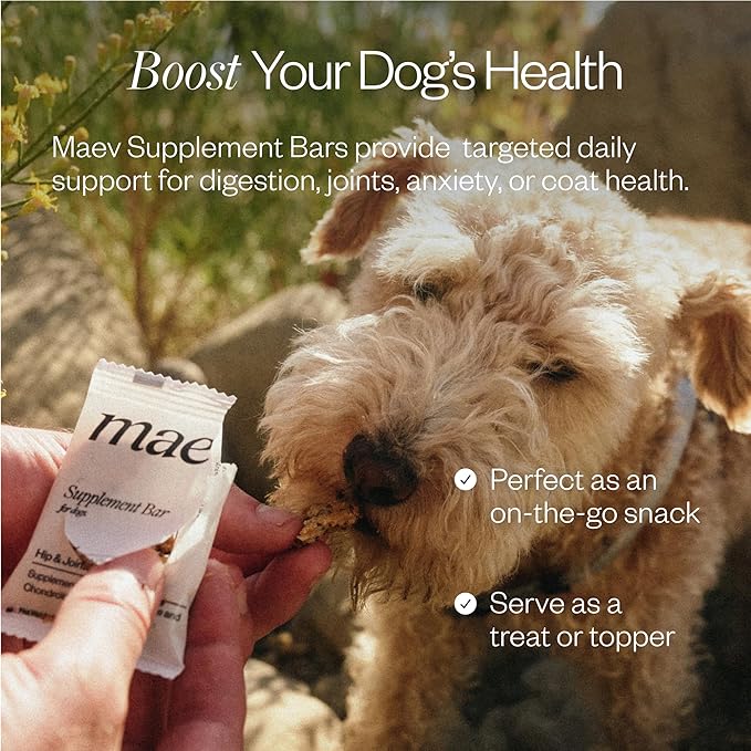 MAEV Human-Grade Hip & Joint Supplement Bars | Natural Support for Healthy Joints & Mobility, 30 Count