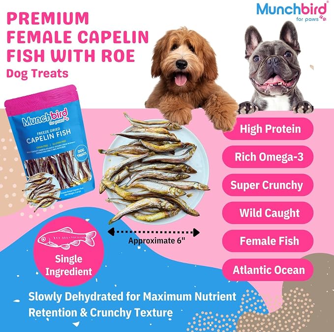 Munchbird Freeze Dried Capelin Whole Fish with Roe Cat Dog Treats - Single Ingredient, High Protein & Omega 3 for Skin and Coat, Grain-Free (100g) Wild-Caught