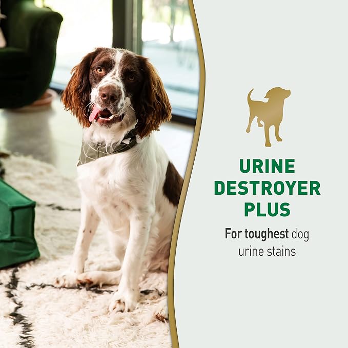 Nature's Miracle Urine Destroyer Plus for Dogs, Enzymatic Formula for Severe Dog Urine Stains, 32 fl oz