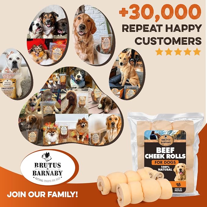 Premium Beef Cheek Rolls for Dogs 10-12" - (10-Pack) Long Lasting, Safe & Natural Rawhide Alternative Chews, Ideal for Large Dogs & Aggressive Chewers, Supports Dental Health & Digestion