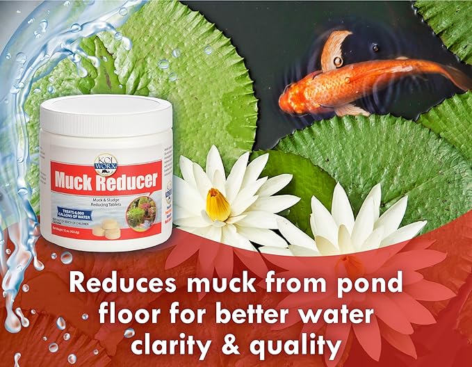 KoiWorx Muck Reducer, 145 Tablets Treats up to 6,000 Gallons of Water, Beneficial Bacteria Reduces Muck, Sludge and Organic Build up, Formulated for Ponds, Water Features and Safe for Koi