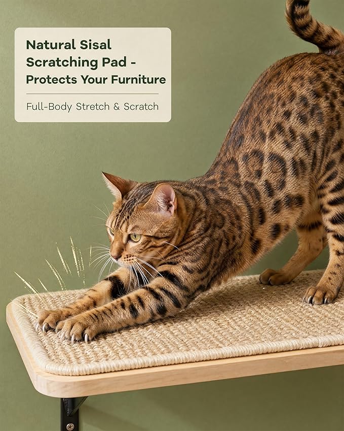 Cat Wall Furniture Set, 2PCS Cat Shelves & 2PCS 4 Steps Wall Shelves Stairs Tower Climbing Scratching Perches for Climbing Sleeping, Playing