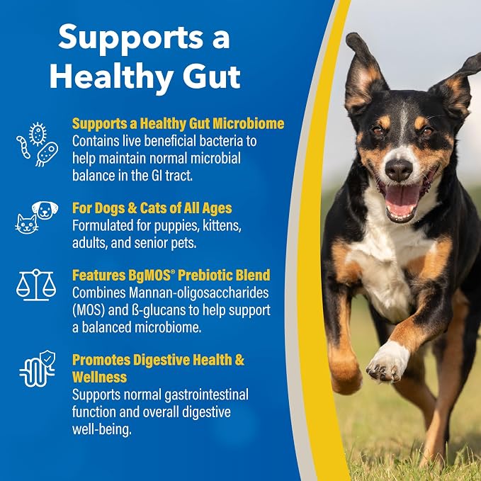 Doc Roy’s GI Synbiotics Probiotic & Prebiotic Supplemental Gel for Dogs & Cats, Digestive & Immune Health Supplement with Live Cultures, BgMOS & Beta Glucans, Chicken Flavor, 30ml Oral Gel