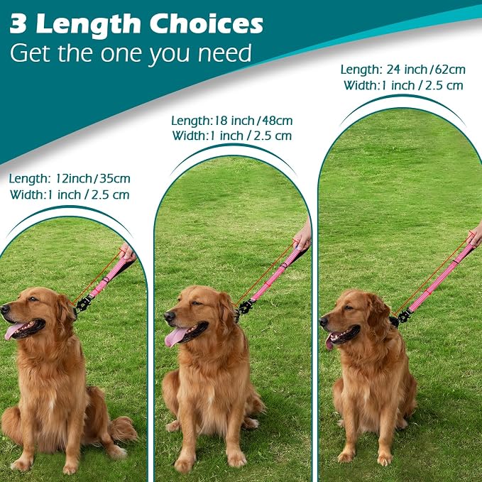 PetBonus Heavy Duty 24 Inch Short Dog Leash and 2-Pack Large Silicone Collapsible Dog Bowls