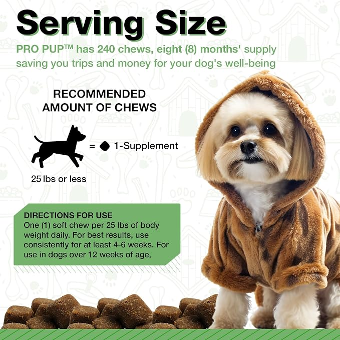 Probiotics for Dogs - Diarrhea Relief, Gut Health Support, Constipation Relief, Digestive Health Support - Vet Recommended Dog Probiotics - 240 Soft Chews that Dogs Love - Pumpkin Flavor