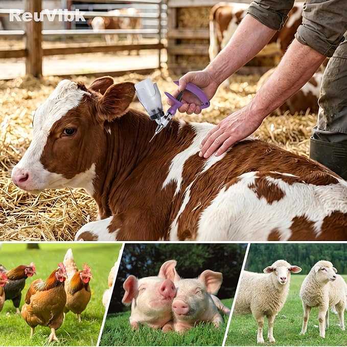 5ML Livestock Syringes, Automatic Self Refill Syringe Continuous Repeating Adjustable Bottle Attachment Livestock Animal Injection Gun with 10 Needles, for Chicken, Duck, Pig, Sheep, Cow Poultry