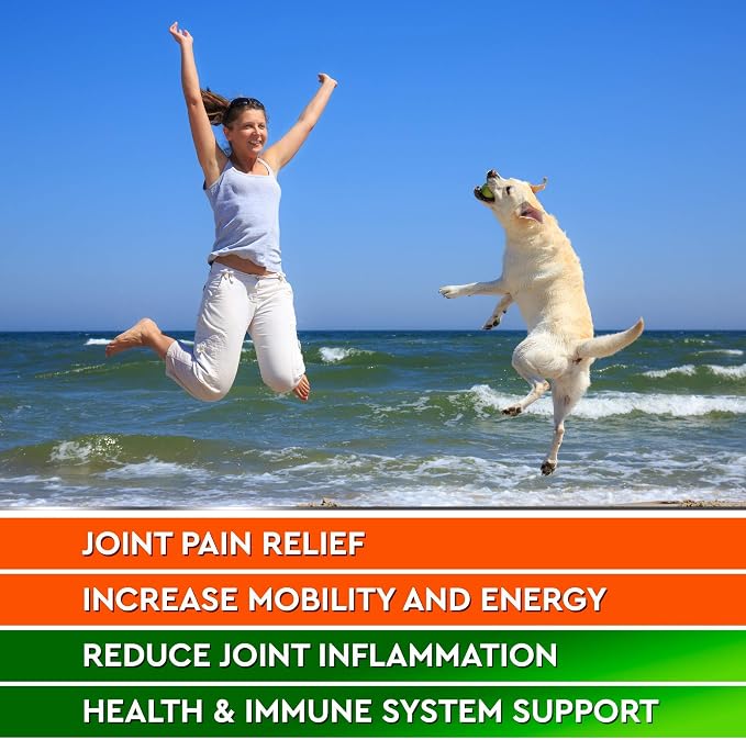 Hemp Hip & Joint Supplement for Dogs - 2 Jars Bacon + Duck Flavoring - Glucosamine, Chondroitin, MSM, Turmeric, Hemp Seed Oil & Hemp Protein for Joint Pain Relief & Mobility - 240 Chews Made in USA