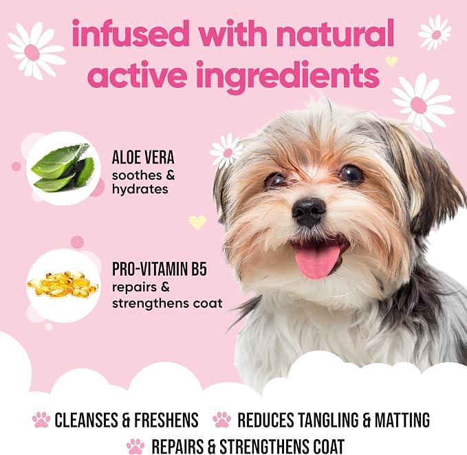 Baby Fresh Dog Shampoo by Buddycare | Deep Cleansing Shampoo for Dogs | Fresh Scented | with Aloe Vera and Pro Vitamin B5 (16.90oz)