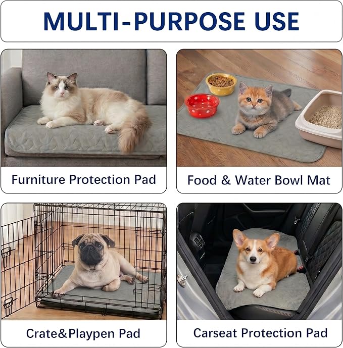 Gentle Purr Washable Dog Pee Pads 24 x 36, 2-Pack Reusable Puppy Pads, 4-Layer Ultra Absorbent Potty Training Pads for Dogs, Non-Slip Leakproof Dog Mats for Indoor Use