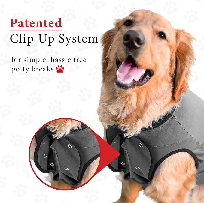 BellyGuard Dog Surgery Recovery Suit, Post-Op Dog Recovery Suit for Female Spay & Male Neuter, Comfy Onesie for Pets, Surgical Body Cover for Canine Healing Support