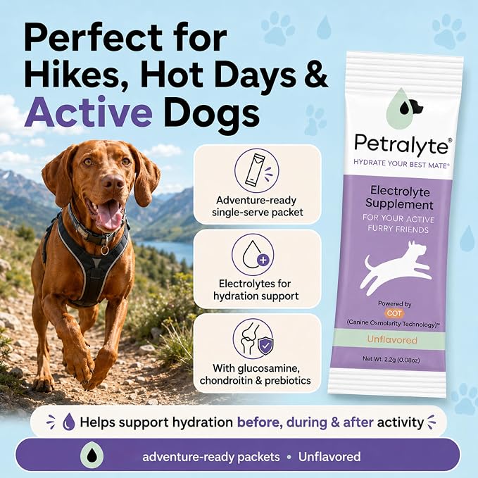 Dog Electrolytes and Joint Supplement | Glucosamine, Chondroitin & MSM for Inflammation and Mobility Support | Electrolytes for Dogs with Prebiotics | Unflavored | 16 Packets