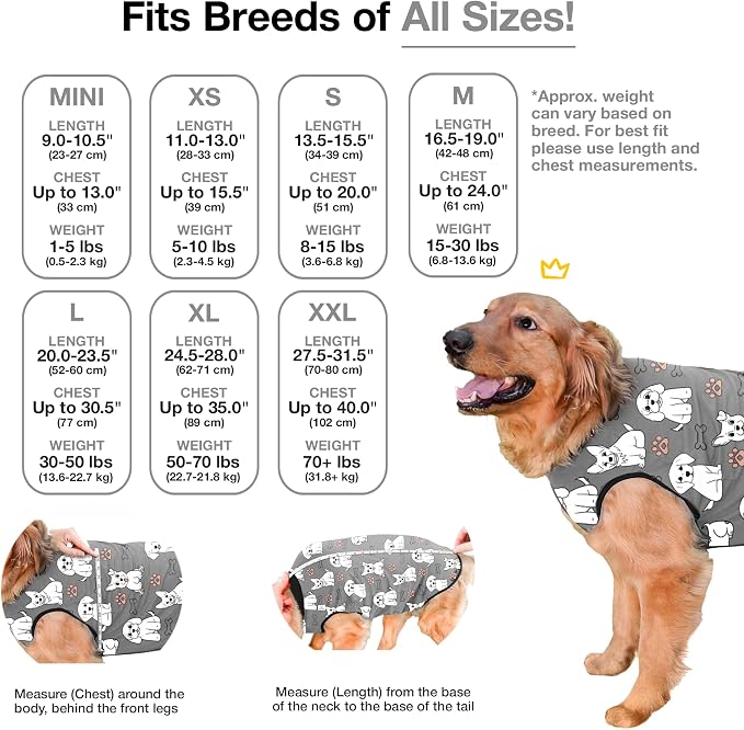 BellyGuard Dog Surgery Recovery Suit, Post-Op Dog Recovery Suit for Female Spay & Male Neuter, Comfy Onesie for Pets, Surgical Body Cover for Canine Healing Support