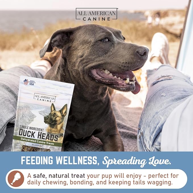 All American Canine 30 Natural Duck Head Dog Treats – Single Ingredient, Dehydrated & Digestible – Low-Fat, High-Protein Chew for Training & Dental Health – Made in USA