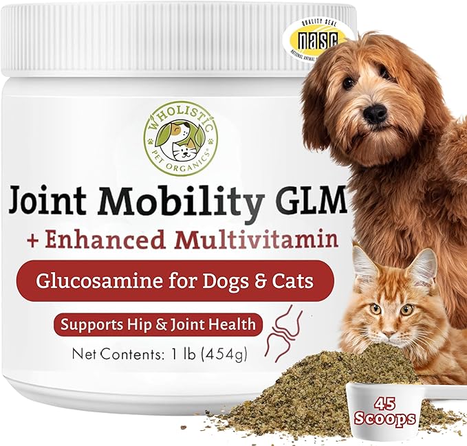 Wholistic Pet Organics - Hip and Joint Supplement for Dogs & Cats - Cat and Dog Joint Supplement - Green Lipped Mussels, Chondroitin, Glucosamine for Dogs & Cat Mobility Support - 1 Lb - 45 Scoops
