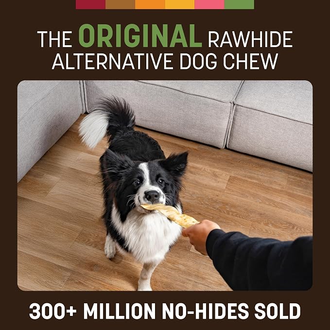 Earth Animal No Hide Strips - Natural Rawhide Free Dog Chew Strips, Pork - 10 Count Value Pack